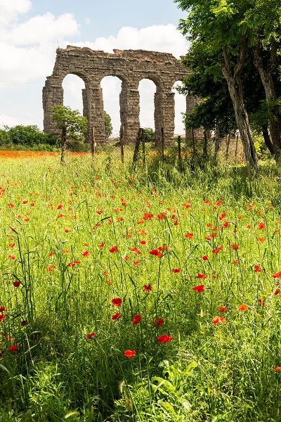 Italy-Rome Parc of the Aqueducts (Parco degli Acquedotti)-Acqua Claudio